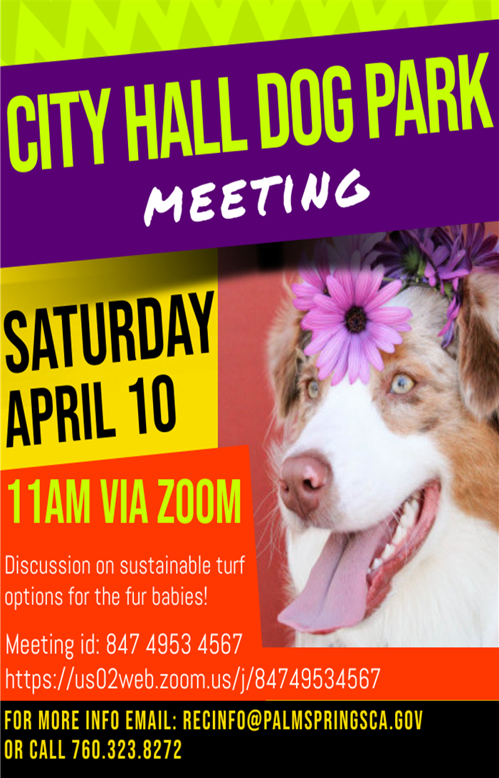 Palm Springs City Hall Dog Park meeting, flyer