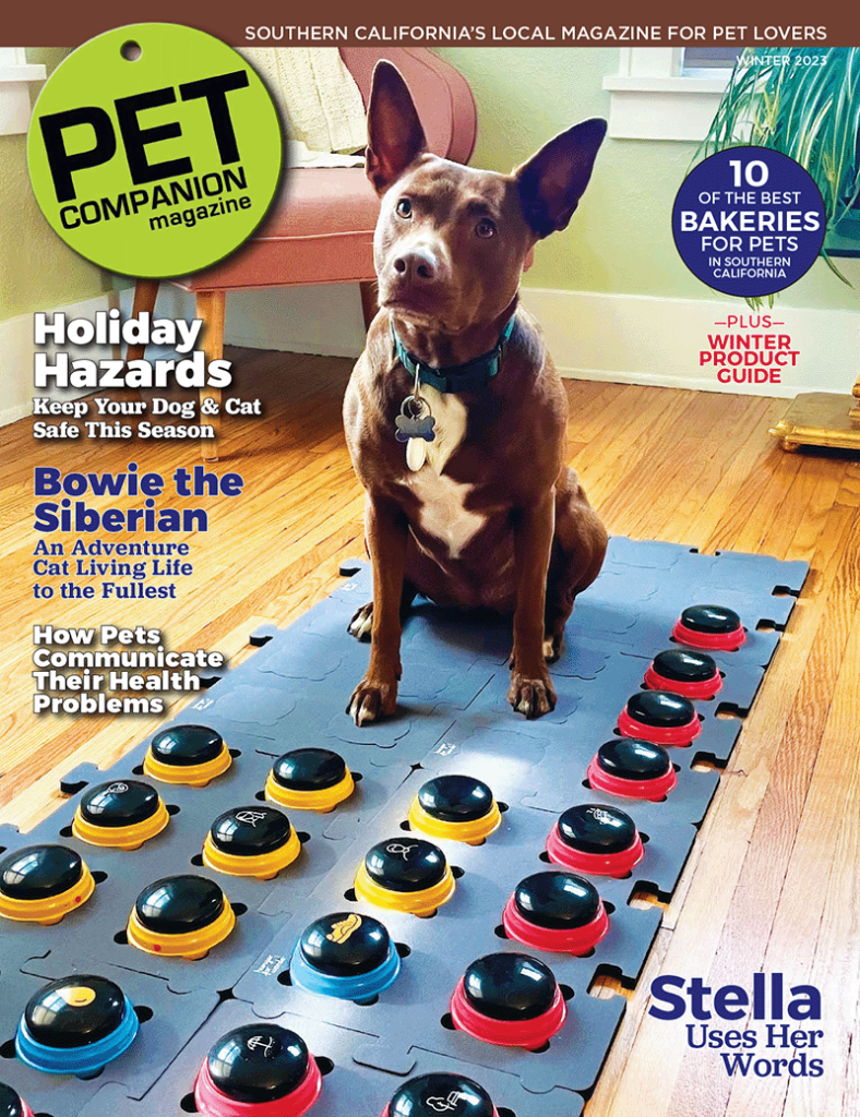 Cover of PCM with photo of dog, Stell, sitting on board with AAC buttons